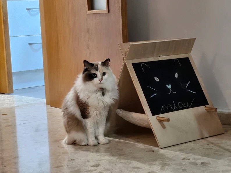 Artistic Chalkboard Cat House